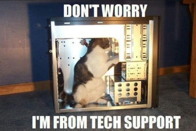 Computer_Cat